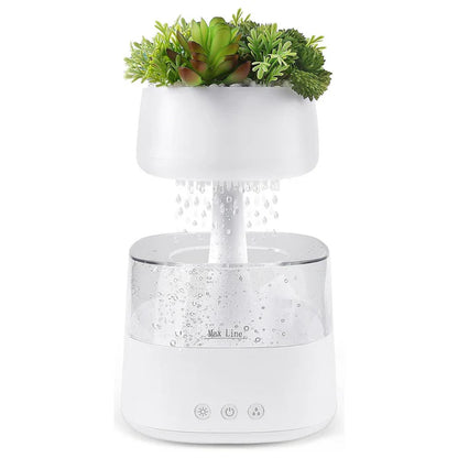 Rain Humidifier