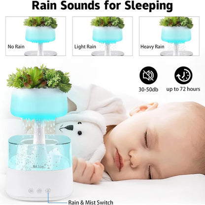 Rain Humidifier